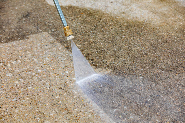Best House Exterior Washing  in Cicero, IN